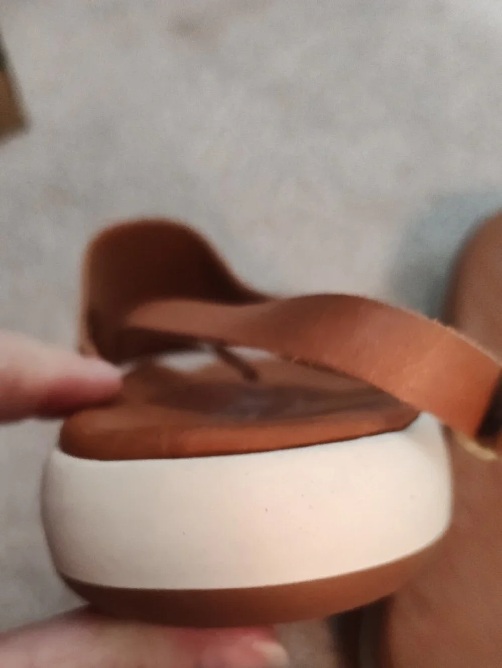 SoftWalk Women’s Brown Leather Thong Sandals with Gold Accent